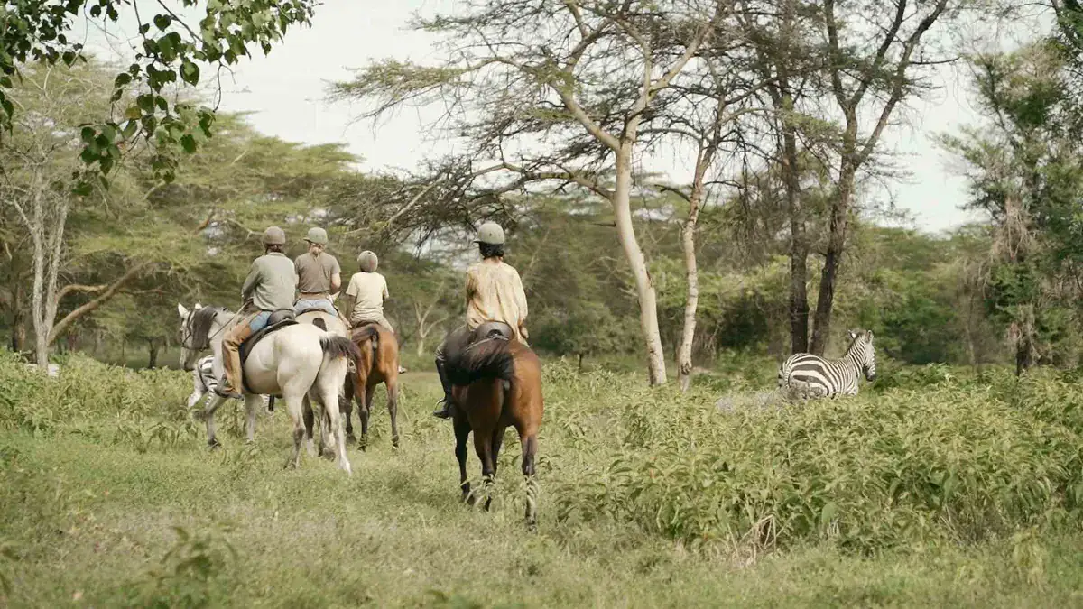 Dolly Horseback Ride Safari from Moshi or Arusha in Northern Tanzania