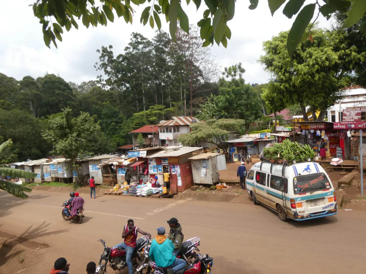 Arusha City to Marangu private transfer