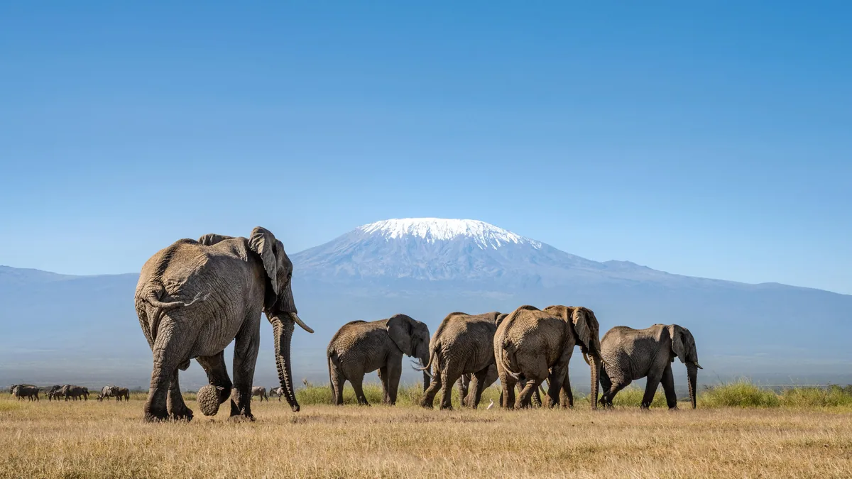 Arusha City to Amboseli transfer