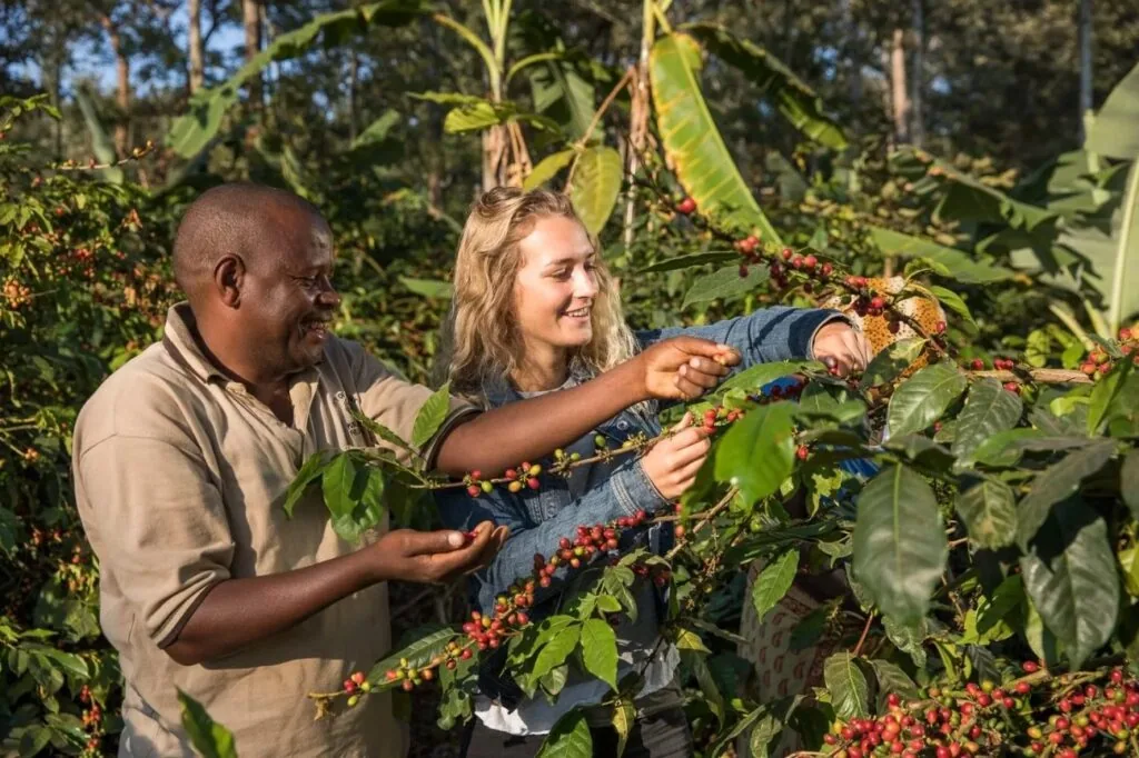 Chemka Hotsprings & Materuni Day Trip from Moshi or Arusha in Northern Tanzania