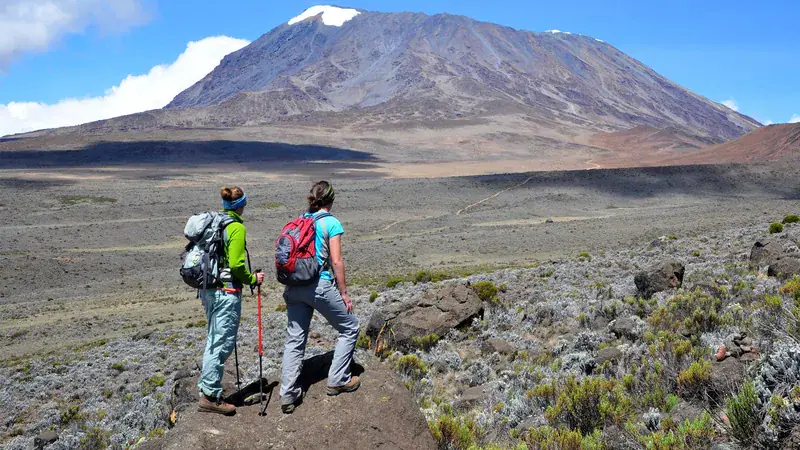 Mount Kilimanjaro Day Hike (Shira Plateau) from Moshi or Arusha