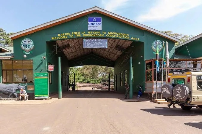 1 Day Ngorongoro Crater Safari from Arusha