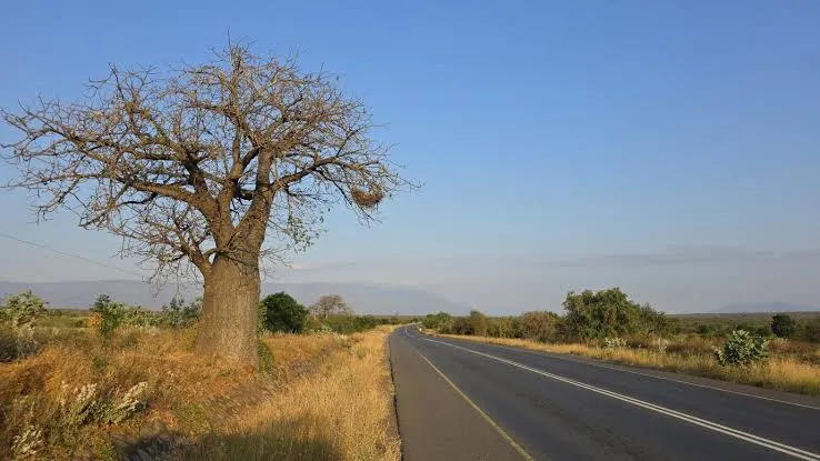 Mwanza to Arusha City transfer