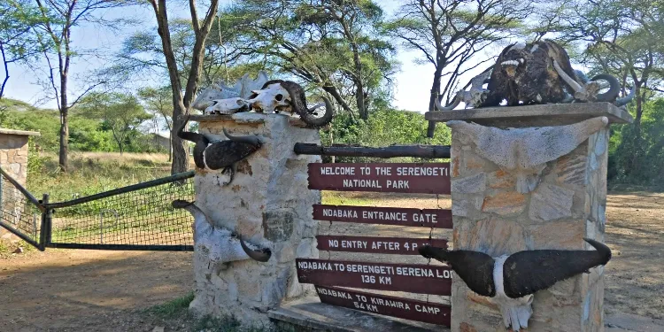 Mwanza to Ndabaka Gate (Western Corridor) transfer